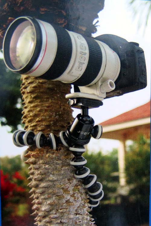 Camera Mount, Joby