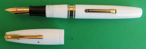 WATERMAN 100 YEAR DOCTOR'S FOUNTAIN PEN in White