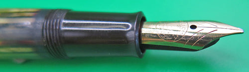 PELIKAN 400 FOUNTAIN PEN WITH TORTOISESHELL BINDE