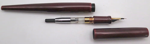 NAKAYA NAKA-AI FOUNTAIN PEN IN SHU