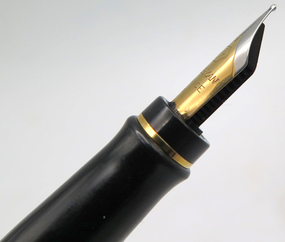 Waterman's Expert II Fountain Pen in Red/Black Marble, Medium Nib