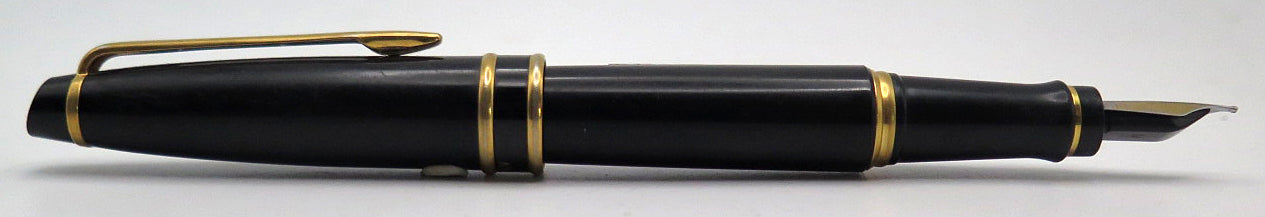 Waterman's Expert I Fountain Pen in Black, Broad