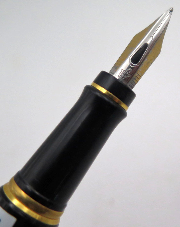 Waterman's Expert I Fountain Pen in Black, Broad